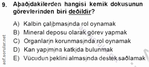 Soru 9