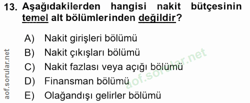 Soru 13