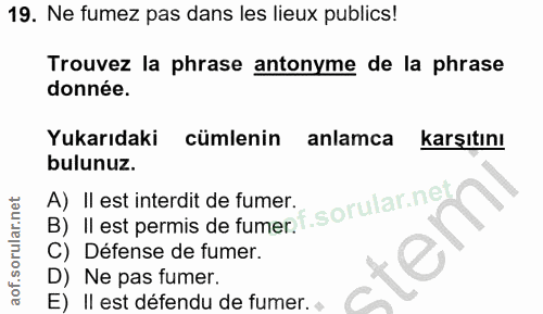 Soru 19