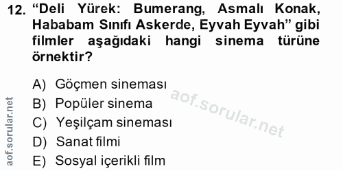 Soru 12