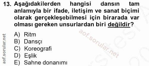 Soru 13