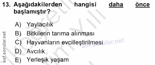 Soru 13