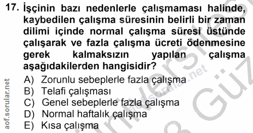 Soru 17