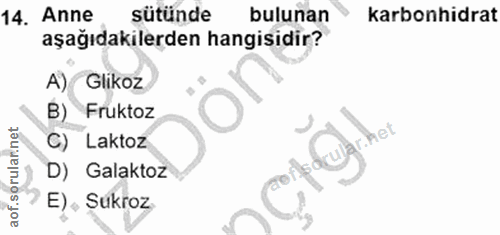 Soru 14