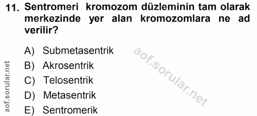 Soru 11