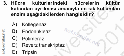 Soru 3