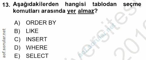 Soru 13