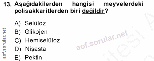 Soru 13