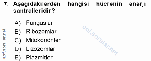 Soru 7