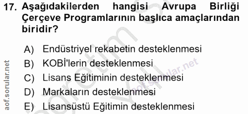 Soru 17