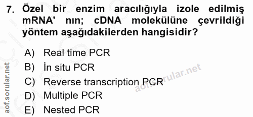 Soru 7