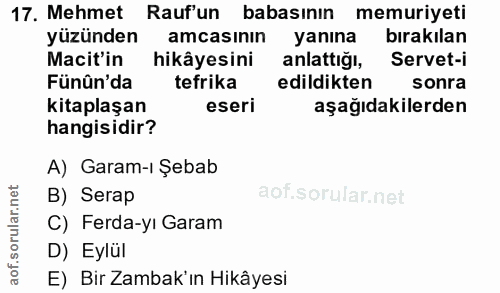 Soru 17