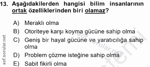 Soru 13
