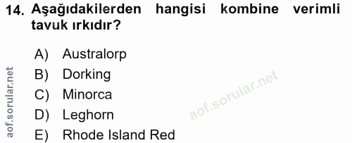 Soru 14
