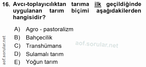 Soru 16