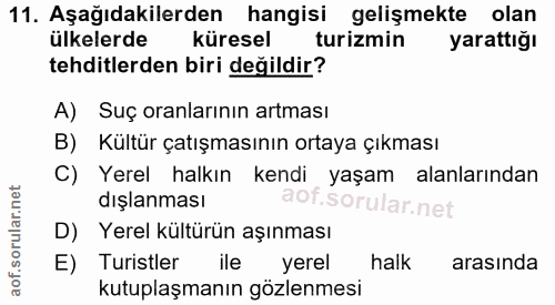 Soru 11
