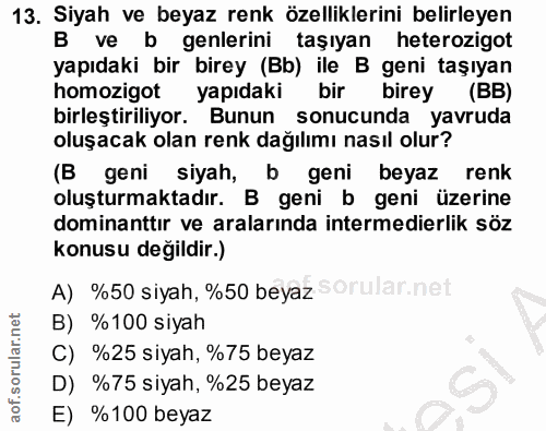 Soru 13