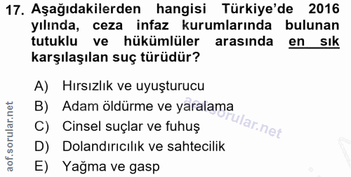Soru 17
