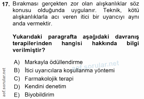 Soru 17