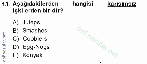 Soru 13