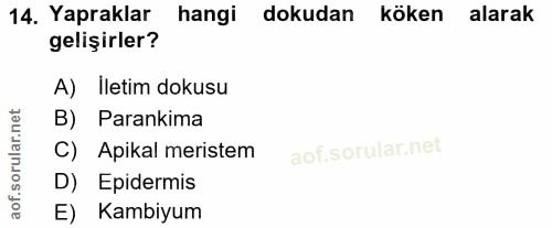 Soru 14