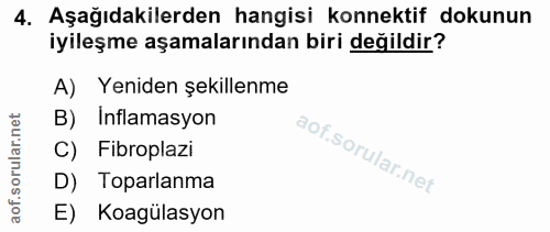 Soru 4