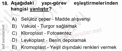 Soru 18