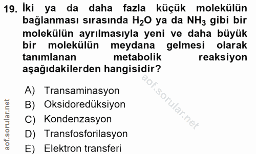 Soru 19