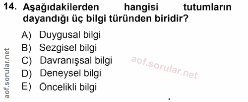 Soru 14