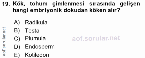 Soru 19