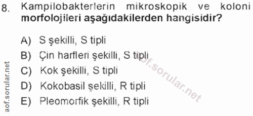 Soru 8