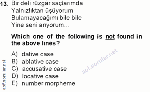 Soru 13