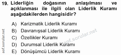 Soru 19