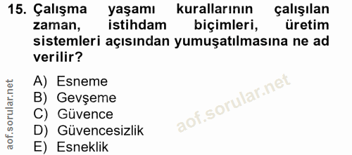 Soru 15