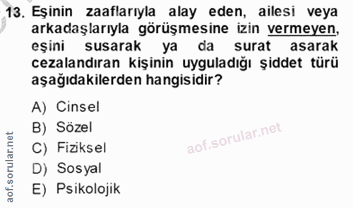 Soru 13