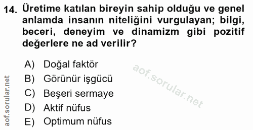 Soru 14