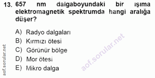 Soru 13
