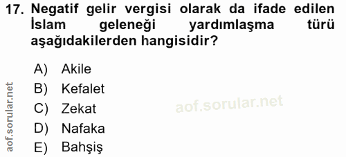 Soru 17