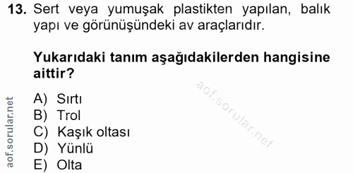 Soru 13