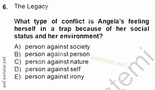 Soru 6