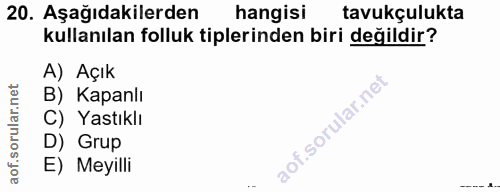 Soru 20