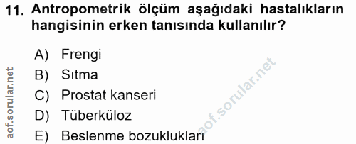 Soru 11