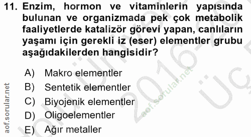 Soru 11