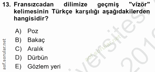 Soru 13
