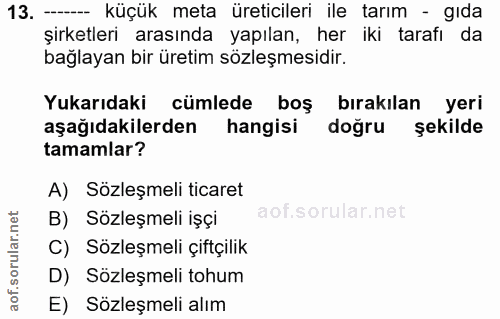 Soru 13