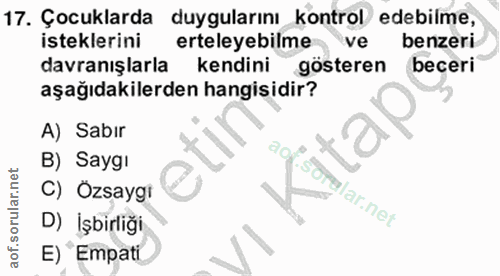 Soru 17