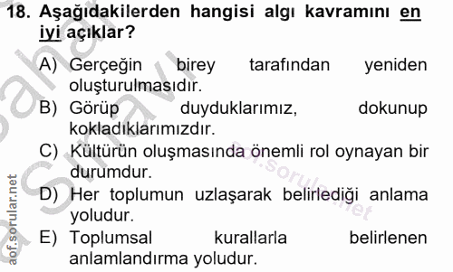 Soru 18
