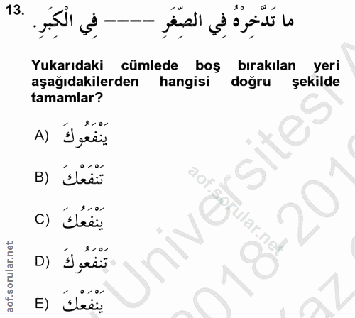 Soru 13