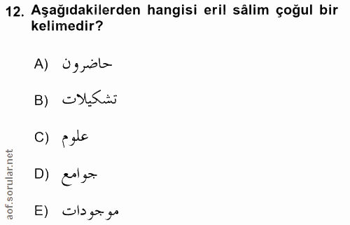 Soru 12