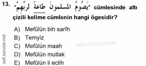 Soru 13